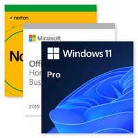Microsoft Windows 11 Pro & Office 2019 Home and Business & Norton VPN