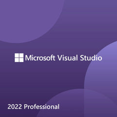 Microsoft Visual Studio 2022 Professional - CSP