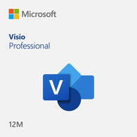 Microsoft Visio Professional 365 12 Month