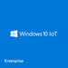 Microsoft Windows 10 IoT Enterprise LTSB 2016 High End