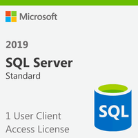 Microsoft SQL Server 2019 Standard - 1 User Client Access License