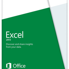 Microsoft Excel 2013 Medialess Retail Box